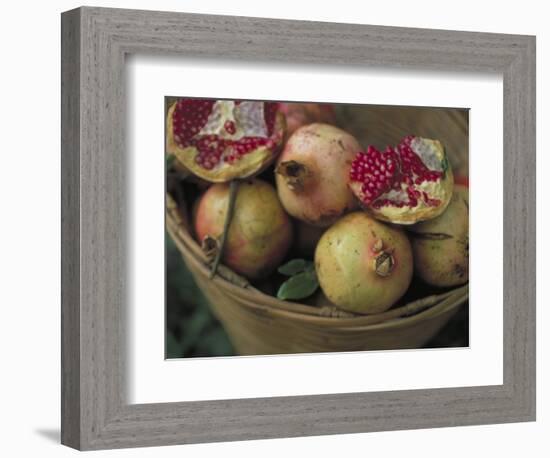 Basket of Pomegranate, Oaxaca, Mexico-Judith Haden-Framed Photographic Print