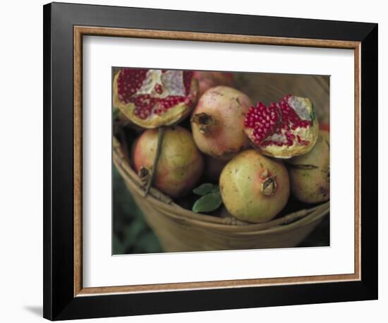 Basket of Pomegranate, Oaxaca, Mexico-Judith Haden-Framed Photographic Print