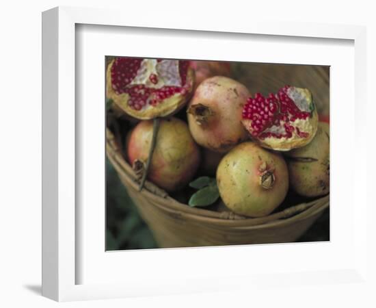 Basket of Pomegranate, Oaxaca, Mexico-Judith Haden-Framed Photographic Print