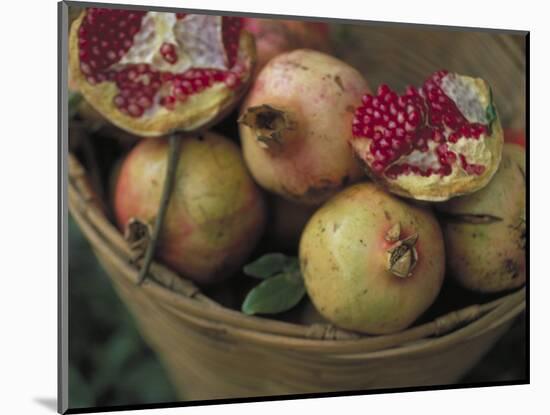 Basket of Pomegranate, Oaxaca, Mexico-Judith Haden-Mounted Photographic Print