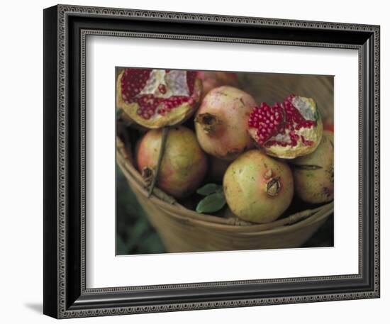 Basket of Pomegranate, Oaxaca, Mexico-Judith Haden-Framed Photographic Print