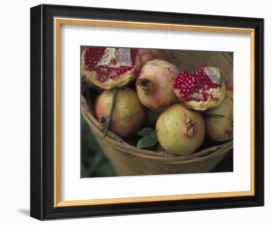 Basket of Pomegranate, Oaxaca, Mexico-Judith Haden-Framed Photographic Print