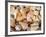 Basket of Sea Shells for Sale at a Shop in St Ives, Cornwall, England-John Warburton-lee-Framed Photographic Print