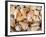 Basket of Sea Shells for Sale at a Shop in St Ives, Cornwall, England-John Warburton-lee-Framed Photographic Print