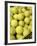 Basket of Tennis Balls-null-Framed Photographic Print