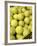 Basket of Tennis Balls-null-Framed Photographic Print