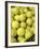 Basket of Tennis Balls-null-Framed Photographic Print