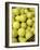 Basket of Tennis Balls-null-Framed Photographic Print