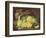 Basket of Yellow Roses-Eloise Harriet Stannard-Framed Giclee Print