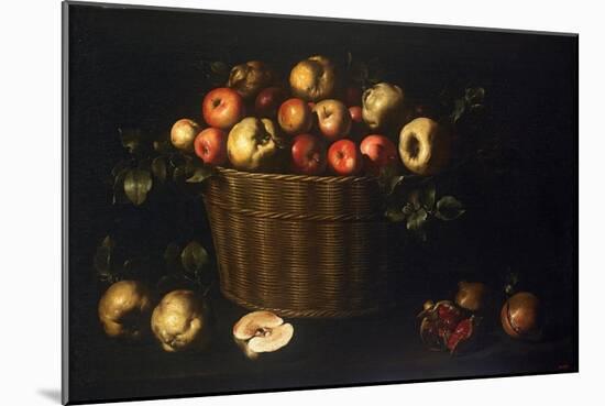 Basket with Apples, Quinces and Pomegranates-Juan de Zurbarán-Mounted Giclee Print