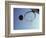 Basketball and Hoop-Paul Sutton-Framed Photographic Print