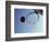 Basketball and Hoop-Paul Sutton-Framed Photographic Print