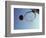Basketball and Hoop-Paul Sutton-Framed Photographic Print