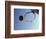 Basketball and Hoop-Paul Sutton-Framed Photographic Print