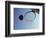 Basketball and Hoop-Paul Sutton-Framed Photographic Print