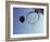 Basketball and Hoop-Paul Sutton-Framed Photographic Print