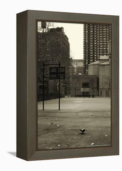 Basketball Court Pigeon NYC-null-Framed Stretched Canvas