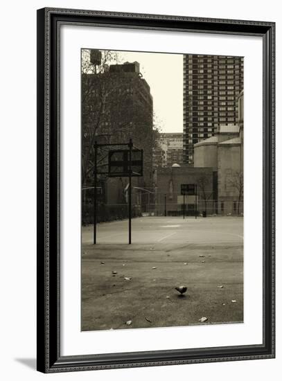 Basketball Court Pigeon NYC-null-Framed Photo