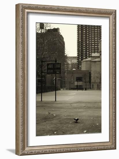 Basketball Court Pigeon NYC-null-Framed Photo