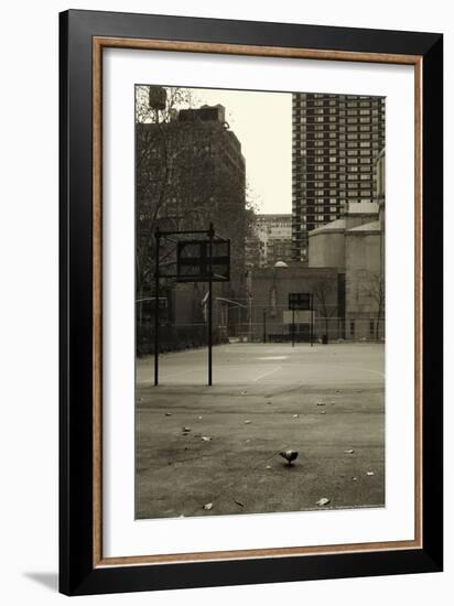 Basketball Court Pigeon NYC-null-Framed Photo