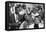 Basketball Player, Bill Russell at the March on Washington, Aug. 28, 1963-null-Framed Stretched Canvas