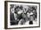 Basketball Player, Bill Russell at the March on Washington, Aug. 28, 1963-null-Framed Photo