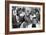 Basketball Player, Bill Russell at the March on Washington, Aug. 28, 1963-null-Framed Photo