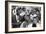 Basketball Player, Bill Russell at the March on Washington, Aug. 28, 1963-null-Framed Photo