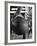 Basketball Player Wilt Chamberlain Holding a Basketball-Frank Scherschel-Framed Premium Photographic Print