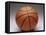 Basketball-null-Framed Premier Image Canvas