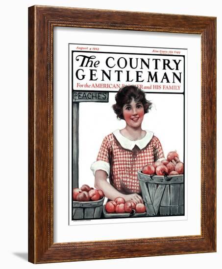"Baskets of Peaches," Country Gentleman Cover, August 4, 1923-Katherine R. Wireman-Framed Giclee Print