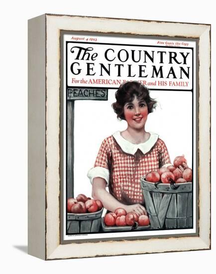 "Baskets of Peaches," Country Gentleman Cover, August 4, 1923-Katherine R. Wireman-Framed Premier Image Canvas