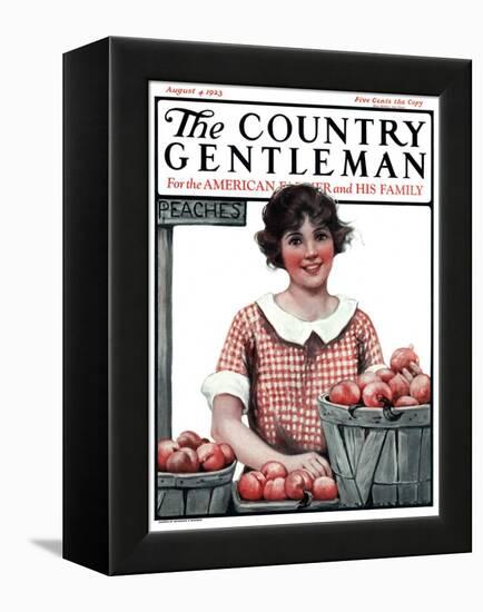 "Baskets of Peaches," Country Gentleman Cover, August 4, 1923-Katherine R. Wireman-Framed Premier Image Canvas
