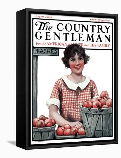 "Baskets of Peaches," Country Gentleman Cover, August 4, 1923-Katherine R. Wireman-Framed Premier Image Canvas