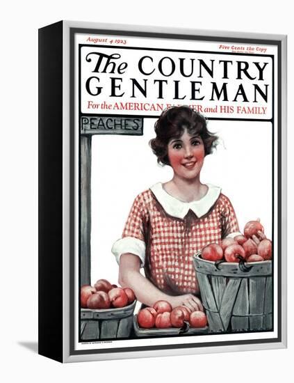 "Baskets of Peaches," Country Gentleman Cover, August 4, 1923-Katherine R. Wireman-Framed Premier Image Canvas