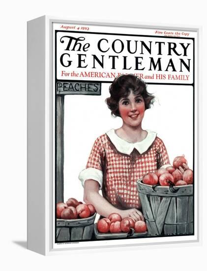 "Baskets of Peaches," Country Gentleman Cover, August 4, 1923-Katherine R. Wireman-Framed Premier Image Canvas