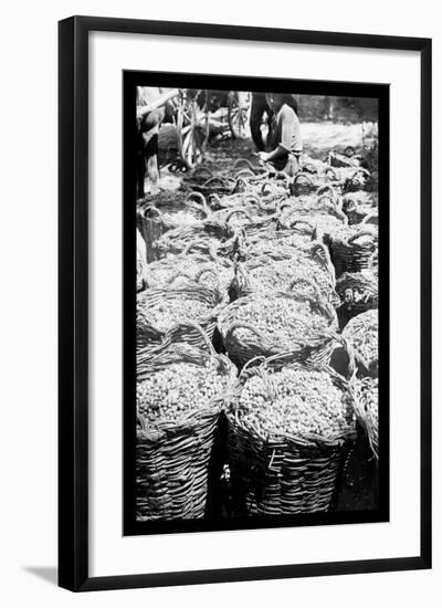 Photo, , large
