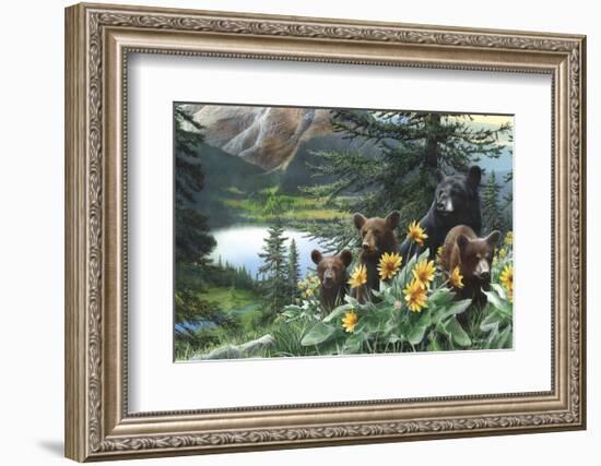 Basking in the Balsams-Kevin Daniel-Framed Art Print