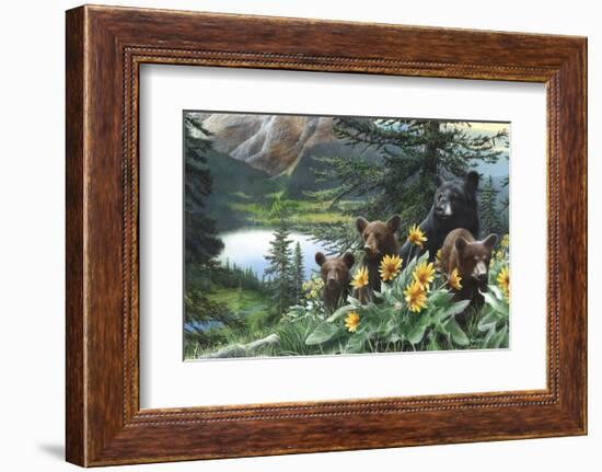 Basking in the Balsams-Kevin Daniel-Framed Art Print