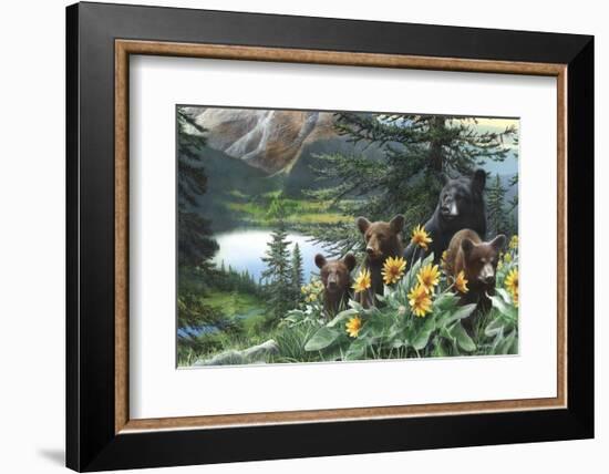 Basking in the Balsams-Kevin Daniel-Framed Art Print