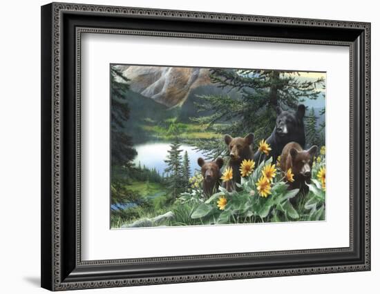 Basking in the Balsams-Kevin Daniel-Framed Art Print