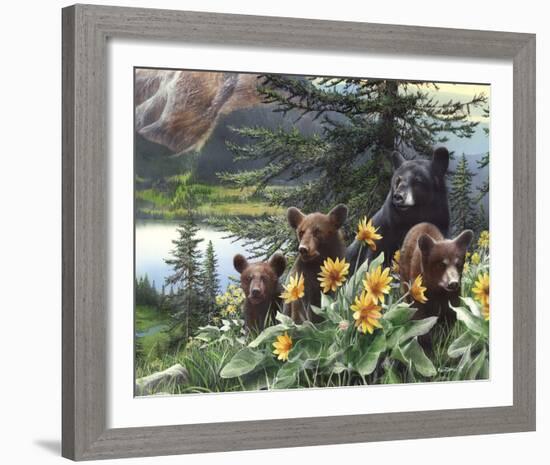 Basking in the Balsams-Kevin Daniel-Framed Art Print