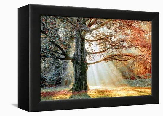 Basking In The Sun-Lars Van de Goor-Framed Premier Image Canvas