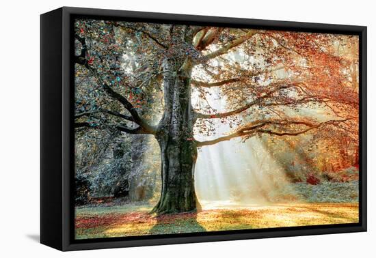 Basking In The Sun-Lars Van de Goor-Framed Premier Image Canvas