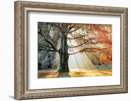 Basking In The Sun-Lars Van de Goor-Framed Photographic Print