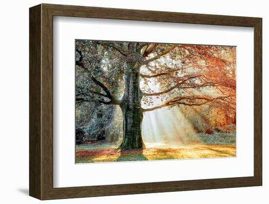 Basking In The Sun-Lars Van de Goor-Framed Photographic Print