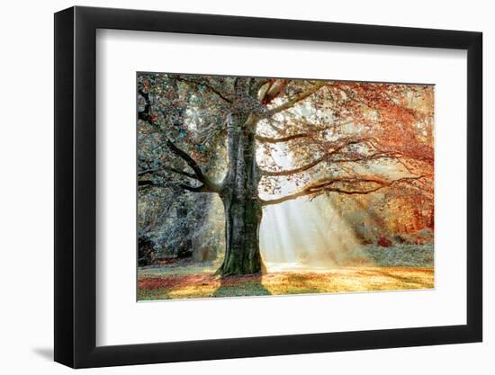 Basking In The Sun-Lars Van de Goor-Framed Photographic Print