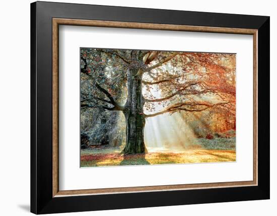 Basking In The Sun-Lars Van de Goor-Framed Photographic Print