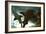 Basking Sharks in the Aquarium, Loro Parque, Tenerife, Canary Islands, 2007-Peter Thompson-Framed Photographic Print