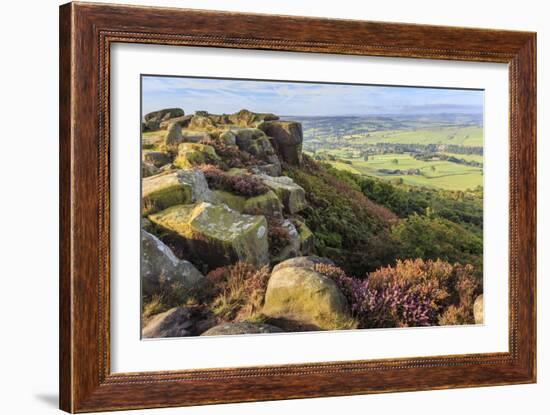 Baslow Edge, early autumn heather, view to Baslow village, Peak District Nat'l Park, England-Eleanor Scriven-Framed Photographic Print